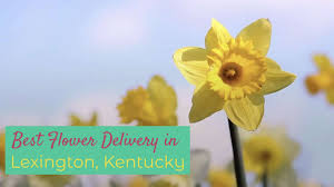 The common name serviceberry refers to memorial services held in the spring at the same time as the flowers bloom. The 5 Shops For The Best Flower Delivery In Lexington Kentucky 2021