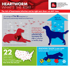 2733 atwood ave, мадисон, wi 53704, usa. Veterinarian In Madison Wi Community Care Veterinary Clinic