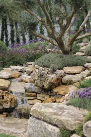 Olive Grove Garden Google Search Mediterranean Garden Design Olive Trees Landscape Mediterranean Garden
