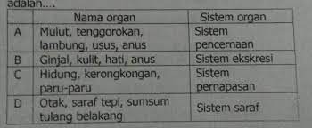 Maybe you would like to learn more about one of these? Organ Organ Penyusun Sistem Organ Yang Tepatadalah Brainly Co Id