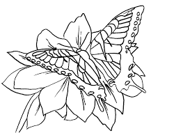 Citing for websites is different from citing from books. Free Butterfly Coloring Pages Tiger Swallowtail Coloring Home