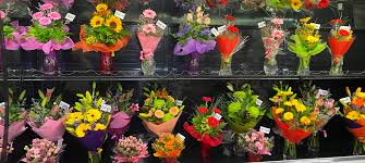 We did not find results for: Wals Plant Land For All Your Shrubs And Trees At Prices That Please