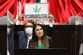 — cámara de diputados (@mx_diputados) march 11, 2021. Diputados Dividen Su Voto Para Legalizar El Uso De Marihuana O Cannabis Mugs Noticias