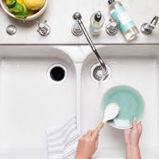 clean your sink & garbage disposal