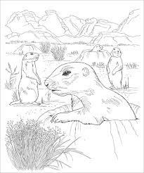 Supercoloring.com is a super fun for all ages: Printable Coloring Pages Of Desert Animals Coloringbay