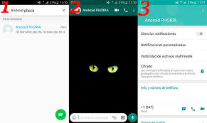 Como saber si alguien tiene tu numero. Como Saber Si Me Eliminaron De Whatsapp En 2021