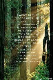 Music Lyrics Words Quote Walden Nature Quotes Thoreau Quotes Life Facts
