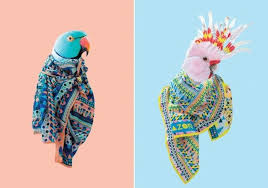 Egzotik Kuslarla Blazon Esarp Koleksiyonu Kus Egzotik Esarp Blazon Moda Sanat Ucuk Kacik Esarp Ex Libris Ve Kus