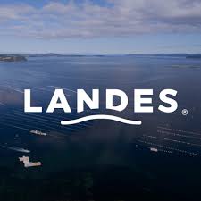 À la lisière des landes, les campagnes girondines dissimulent des havres de tranquillité : Landes Videos Facebook