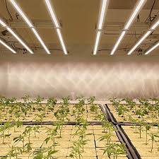 Any light can be a grow light since plants really aren't tube lights can come in any length, but 1, 2, 4, and 8 foot are most common. Agl V600 Led Grow Light With Full Spectrum Gardening And Hydroponics Plant Growing Light Fixtures Dimmable Diodes Commercial Horticulture Greenhouse Growing Lamps Bulbs Garden Season