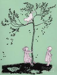 Inspirational designs, illustrations, and graphic elements from the world's best designers. The Cat Ran Up The Plum Tree Drawing By Arthur Rackham