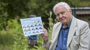 Sir David Attenborough Backs Worlds Biggest Butterfly Count