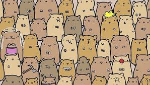 Retos mentales divertidos / retos matematicos desafios y. Facebook Encuentra La Papa Entre Los Hamsters El Nuevo Reto Viral Foto Viral Trome
