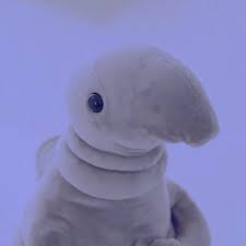 Eye Am Fluffy Wosh Fluffywosh Twitter