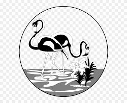 Print or download the following free bird silhouette patterns and templates for woodworking projects, scroll saw patterns, laser cutting, crafts, vinyl cutting, screen printing, silhouette, cricut machines, coloring pages, etc. Black And White Flamingos Clip Art Free Black And White Flamingo Png Download 3768124 Pikpng