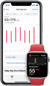 Apple Watch Ile Kalp Atis Hizinizi Izleme Apple Destek