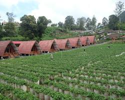 Kolam renang air panas di Dusun Strawberry Walini Ciwidey Bandung