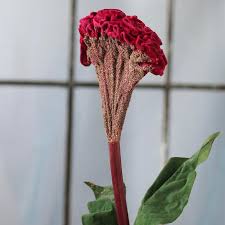 Artificial Celosia Spray Stems Branches Floral Supplies Craft Supplies Factory Direct Craft