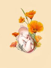 Pin On Botanical Birth Art