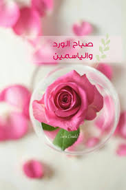 Sara Elwakil صباح الورد Morning Greeting Good Morning Greetings Morning Pictures
