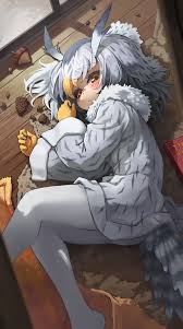 Northern White-Faced Owl (Kemono Friends) :: Kemono Friends :: Anime ::  фэндомы :: melaton :: Anime Artist :: artist - JoyReactor