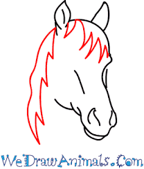 When i'm drawing a horse i often start with the head. How To Draw A Mustang Horse Head