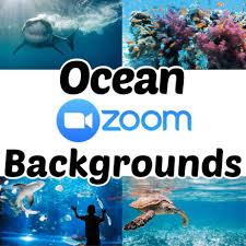 Huge List Of Zoom Backgrounds For Kids In 2020 Background Classroom Apps Kids