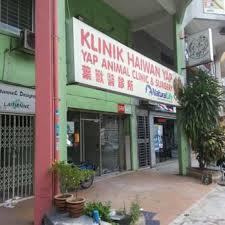 Healing paws wellness center is a holistic veterinary clinic for dogs and cats. Yap Animal Clinic Surgery Veterinarians 113 Kawasan 16 Klang Selangor Malaysia Phone Number