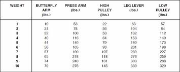 Gold Gym Xr45 Exercise Chart Pdf