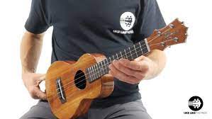 For a more comprehensive dining table size chart that also considers table shape, read how to buy the best dining room table. Ukulele Size Guide Soprano Concert Tenor Baritone And Bass Uke Like The Pros Blog