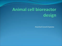  animal cells do not have cell walls. Animal Cell Bioreactor Ppt Download