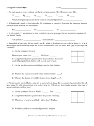 Genetics with spongebob review (pdf) use this worksheet to review punnett squares. Spongebob Genetics Quiz Genotype Zygosity