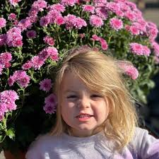 I never called you stupid, but when I asked you to spell "Orange", and you  asked me the fruit or color it kinda caught me off guard.