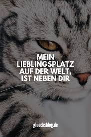 Mein Lieblingsplatz Auf Der Welt Ist Neben Dir Willst Du Noch Mehr Schone Spruche Sehen Dann Schau Doch H Spruche Tierliebe Schone Spruche Zitate Spruche