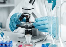 Estou muito satisfeita e recomendo à todos!!!!! Exames Laboratoriais Principais Tipos E Como Se Preparar Magscan