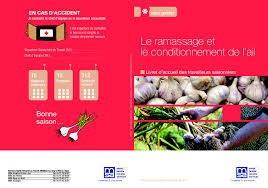 Msa Sante Securite En Agriculture Le Ramassage Et Le Conditionnement De L Ail Livret D Accueil