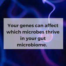 How Our Genes Shape Our Gut Microbiome And Our Weight Genetic Lifehacks Gut Microbiome Microbiome How To Find Out