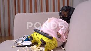 'fairytale ending' for fat cat mitzi returned four times. Fat Dog Couch Potato Eating A Popcorn C Stock Video Pond5