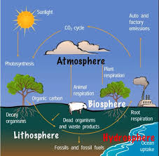 All The Earth Cycles Labeled Carbon Cycle Nitrogen Cycle Science Education