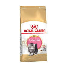 Daftar harga kucing anggora semua jenis terbaru 2020 via hewany.com. Rekomendasi Makanan Kucing Persia Blibli Friends