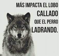 Imagen De Un Lobo Apodo Del Club Gimnasia Perros Ladrando Perros Frases