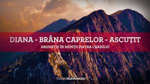 A et à, ou et où, sur et sûr. De La Refugiul Diana Pe Brana Caprelor Spre Saua Padinii Inchise Muntii Piatra Craiului Trasee De Calatorie Si Turism In Romania