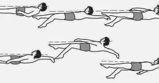 We did not find results for: Pengertian Renang Gaya Punggung Dan Tekniknya