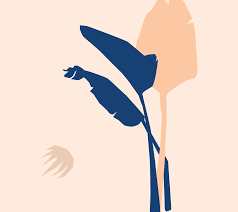 White Bird Of Paradise Plant Care Indoors Bird Of Paradise Plant Care Guide Birds Of Paradise Plant Paradise Plant Birds Of Paradise Flower