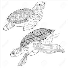 108k.) this sea turtle and eggs coloring pages for individual and noncommercial use only, the copyright belongs to their respective creatures or owners. Sea Turtle Coloring Book Hand Drawing Coloring Book For Children Royalty Free Cliparts Vectors And Stock Illustration Image 145032085