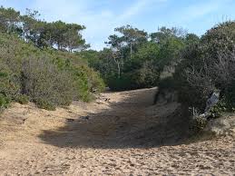 Sandy Trail Through The Forest And Along The Coast At Port Bourgenay Vendee Location Gite Cottage