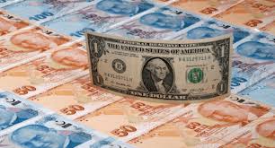 Tarih bazında görüntüleyebileceğiniz merkez bankası kurları. Mb Baskani Gitti Tl Dolar Karsisinda Yuzde 16 Deger Kaybetti 1 Dolar 8 38 Lira Diken