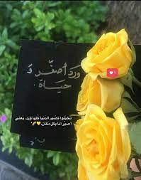 pin by روح الورد on سناباتي quotes about photography eyeball art words wallpaper