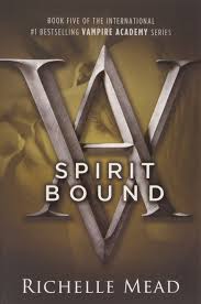 It tells the story of rosemarie rose hathaway, a dhampir girl, who is training to be a guardian of her moroi best friend, vasilisa lissa dragomir. Vampire Academy Box Set 1 6 Englisch Mead Richelle Amazon De Bucher