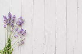 Composition Of Lavender On White Wooden Background Violet Summer Flowers Free Spon White Wooden C Summer Flowers Photo Composition Wooden Background